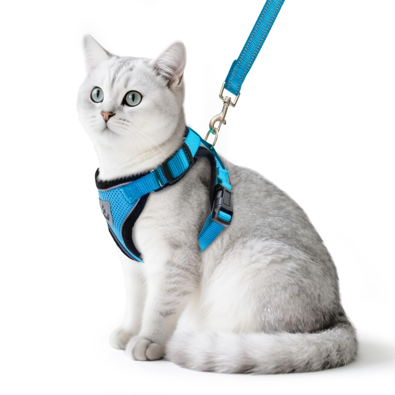 PUPTECK Cat Harness and Leash Set Escape Proof Reflective Cat Walking Harness Adjustable Soft Breathable Mesh Vest for Small Pets, Blue, L