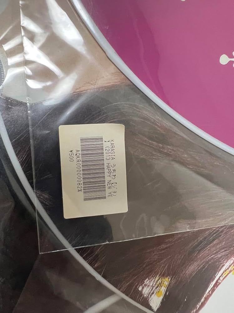 KARA KARASIA 東京ドーム 写真 ブロマイド 5枚セット 販売 KARA