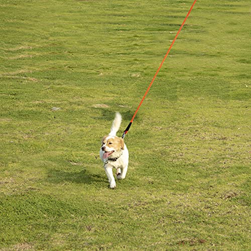 Vivifying Schleppleine 10M für Hunde, Reflektierende Schleppleine für Draußen und Hof, Schwimmende Schleppleine für Hunde für Camping, Wandern, Schwimmen und Strand (Orange)