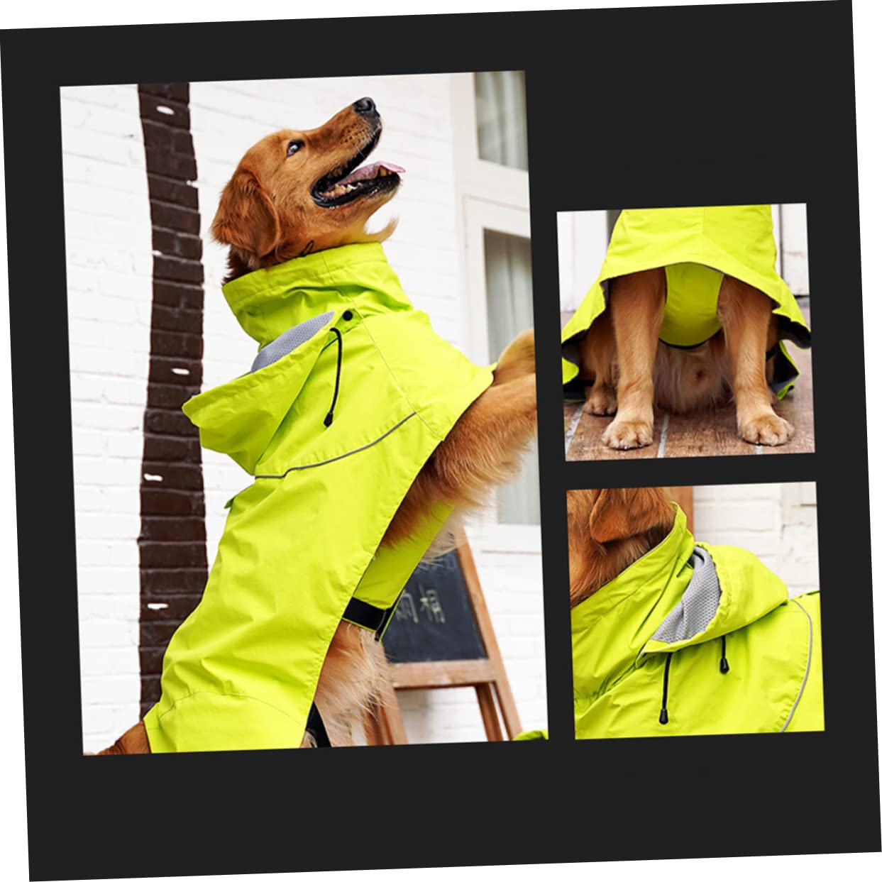 Manteaux de Pluie imperméables pour Chien, imperméable pour Chien, 2 pièces Dealspet Supplies Poncho pour Chien, Coupe-Pluie, Elizabeth Circle, col Haut, Veste