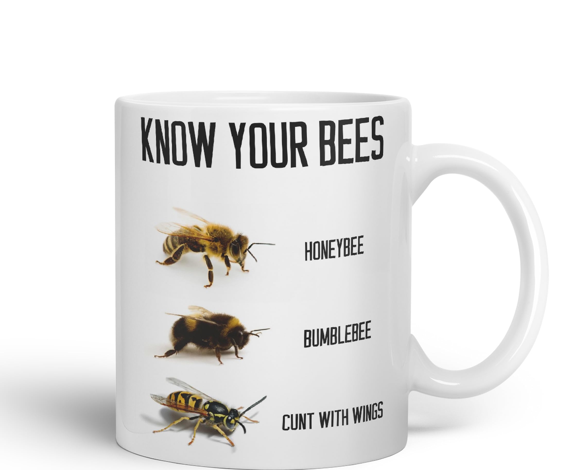 Vixar Know Your Bees Rude Funny Ceramic 330 ml Coloured Mug Cup Gift Tea Coffee Christmas Office Home Joke (White) - Image 2