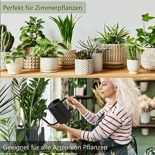 Image of Watering Can Indoor Plants, 1 Litre Watering Can, Small, Indoor Metal Stainless Steel, Modern Decorative Watering Can with Long Spout for Home, Plant, Bonsai, Outdoor, Garden, Flowers (Black)