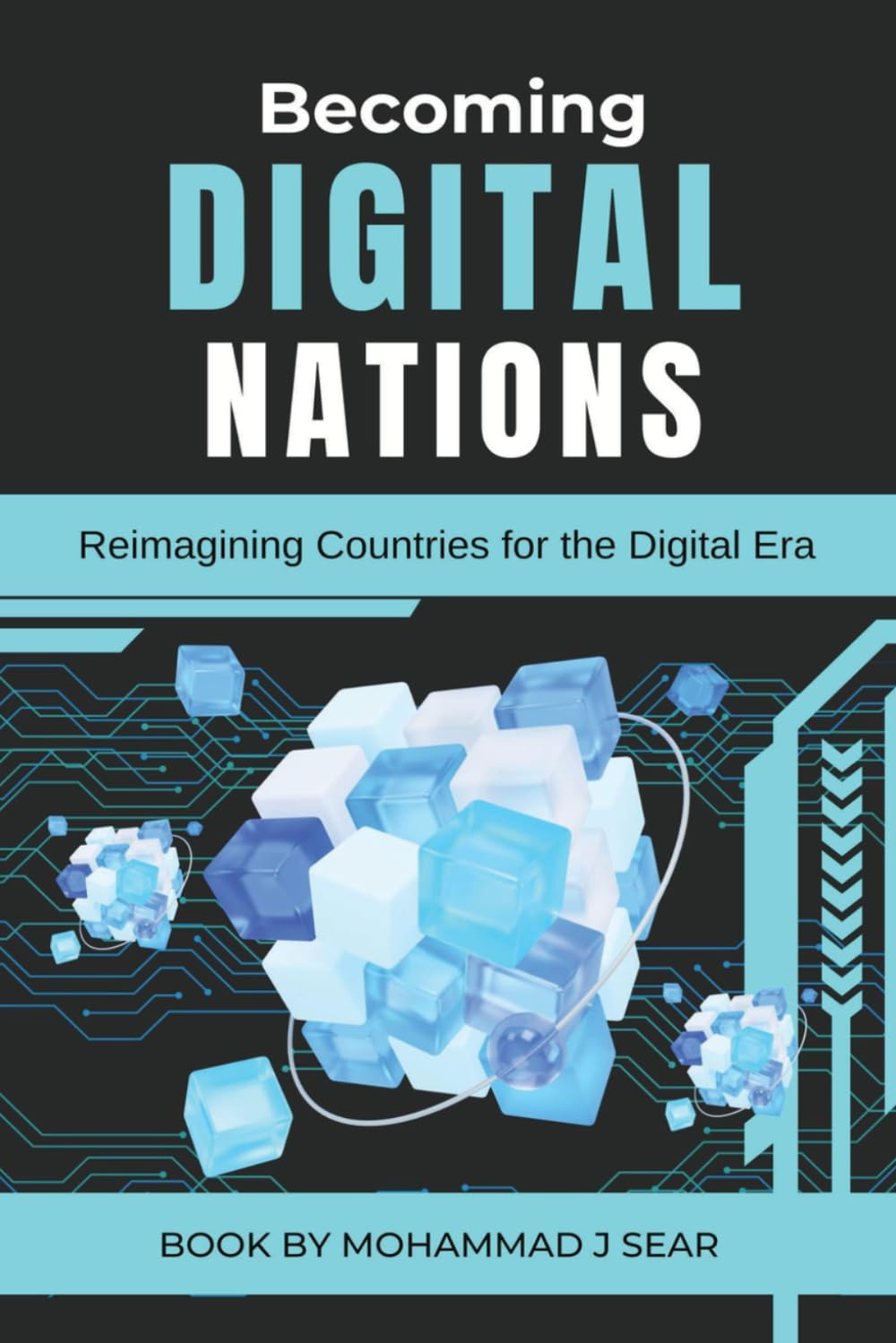 Becoming Digital Nations: Reimagining Countries for the Digital Era