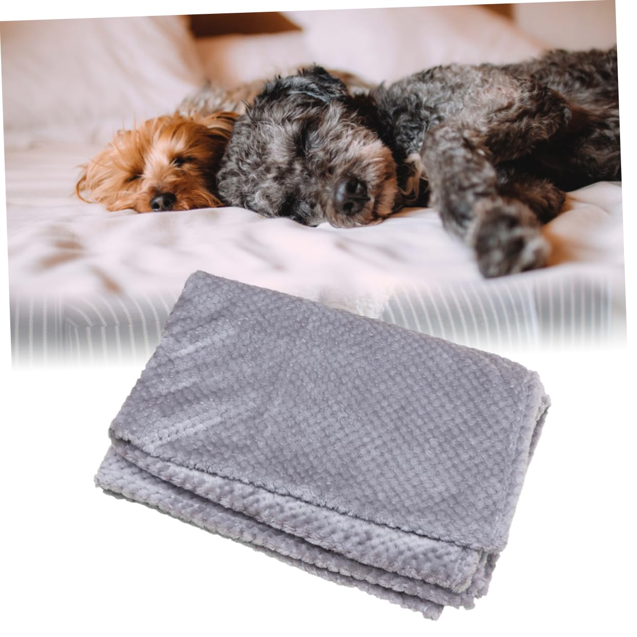 FOMIYES Coperta per Animali Pieghevole 1 Pezzo in Coral Velvet | Lavabile in Lavatrice, Adatta a Picnic e Divano, Copertura Letto per Cani e Gatti