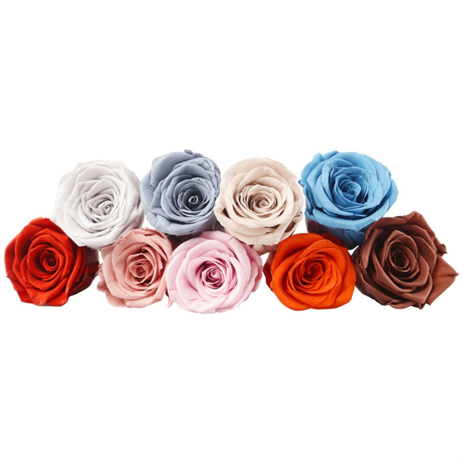 Fiori Secchi Pressati Rose conservate da 4-5 cm, Fiori conservati, Rose eterne, Naturali fresche, Fiori di Rosa immortali, fiorista, Materiale Floreale Fai da Te(Blue)