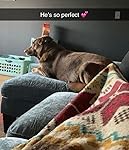 Review Image by Amazon Customer Amazon Customer