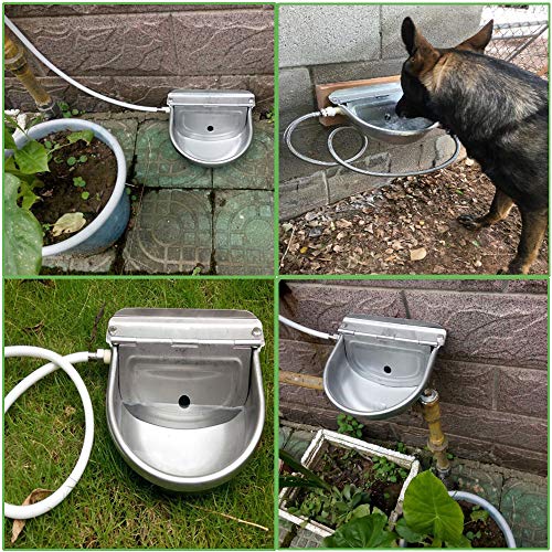 CPROSP Automatic Cow Drinking Water Bowl with GHT 3/4'' Adapter, with Pipe Hose Stainless Steel Pet Supplies G1/2" M20/20mm Thread - Image 8