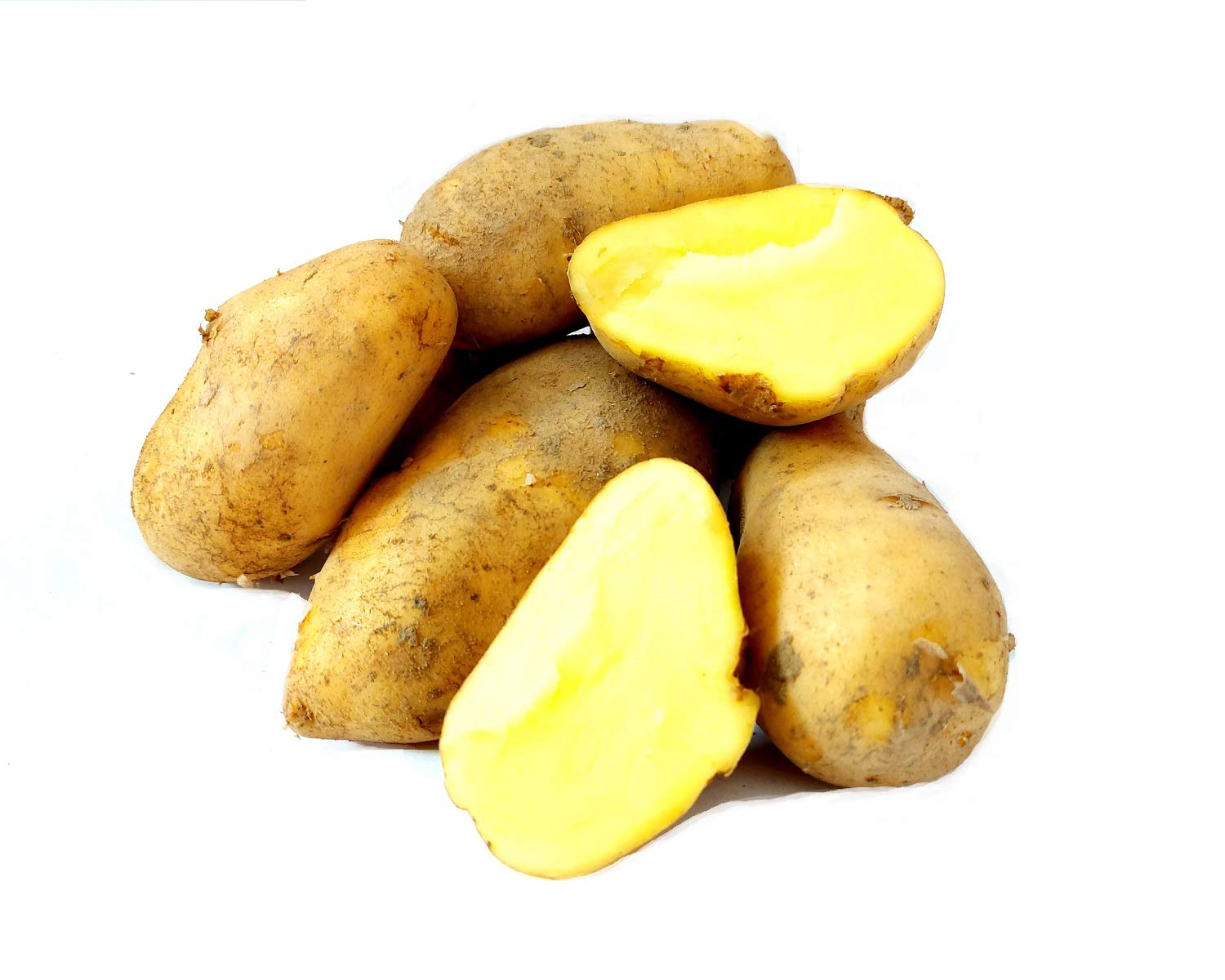 Frische Sieglinde festkochende Speisekartoffeln Kartoffel 10 KG Ernte 2025 aus Bayern festkochend Salatkartoffel zum Grillen für Kartoffelsalat Pellkartoffeln Bratkartoffeln Pommes Frites