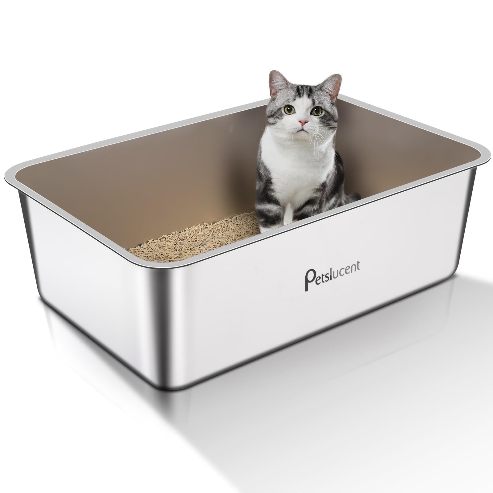 Lettiera per gatti in acciaio inox: contenitore extra large in metallo, facile da pulire, con lato alto, per gatti e conigli, antiaderente e anti perdite