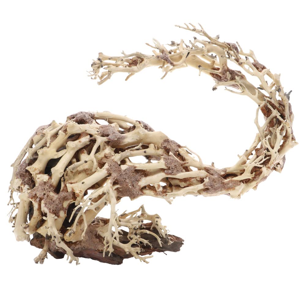 Dupla Hobby Aquaristik Wizard Root M I Natürliche Holzdekoration I Handgefertigte Einzelstücke I 30 x 13 x 23 cm