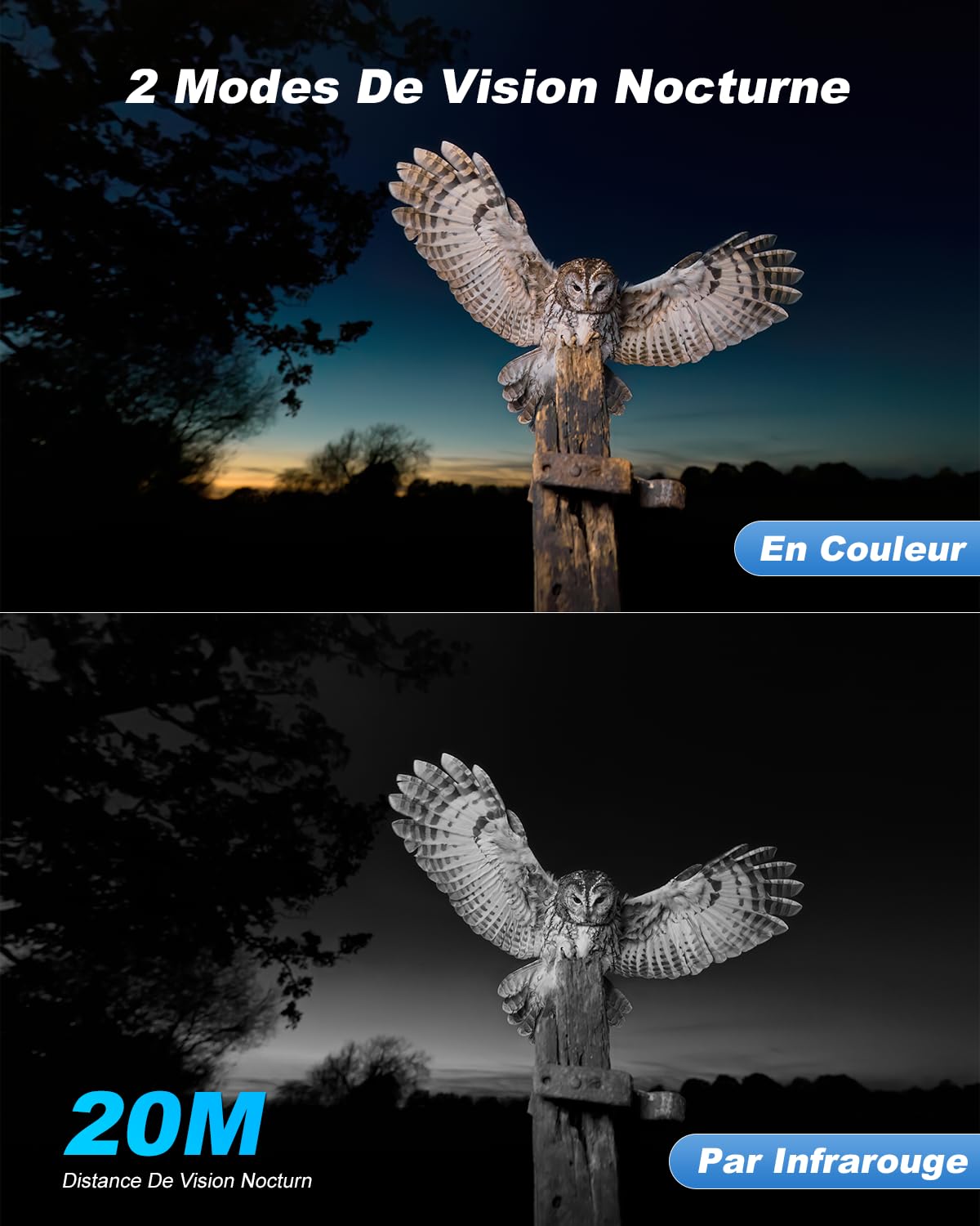 Xega Caméra de Chasse PTZ Solaire 4G Extérieure avec Carte SIM sans WiFi | 2K 3MP, Batterie Intégrée Autonome, Détection Personnalisée, Projecteur & Sirène, Alerte APP, Abonnement Requis