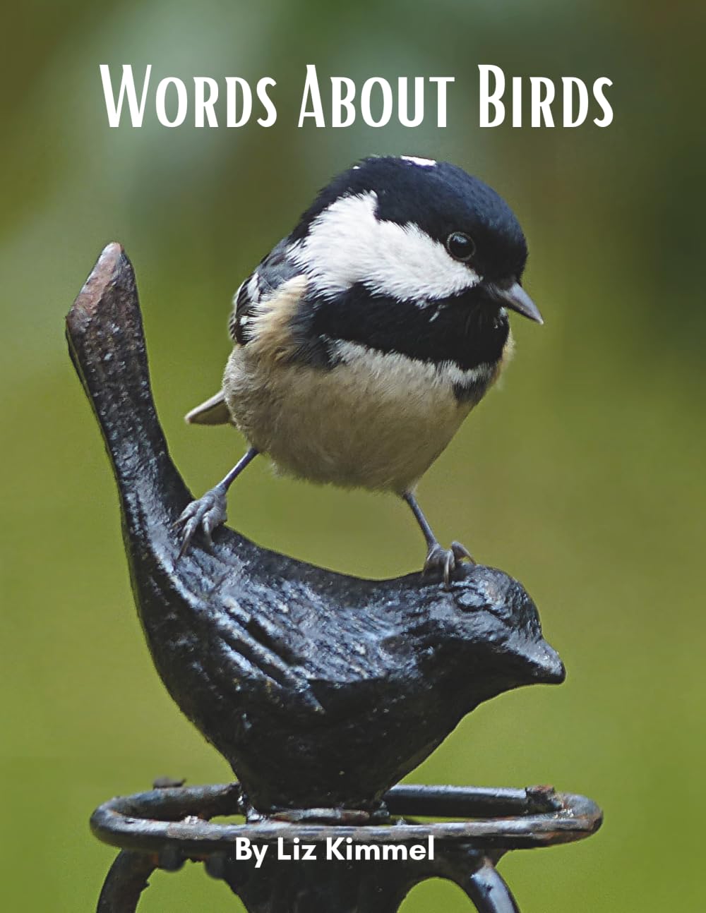 Words About Birds (Cool Creatures...God's Teachers)