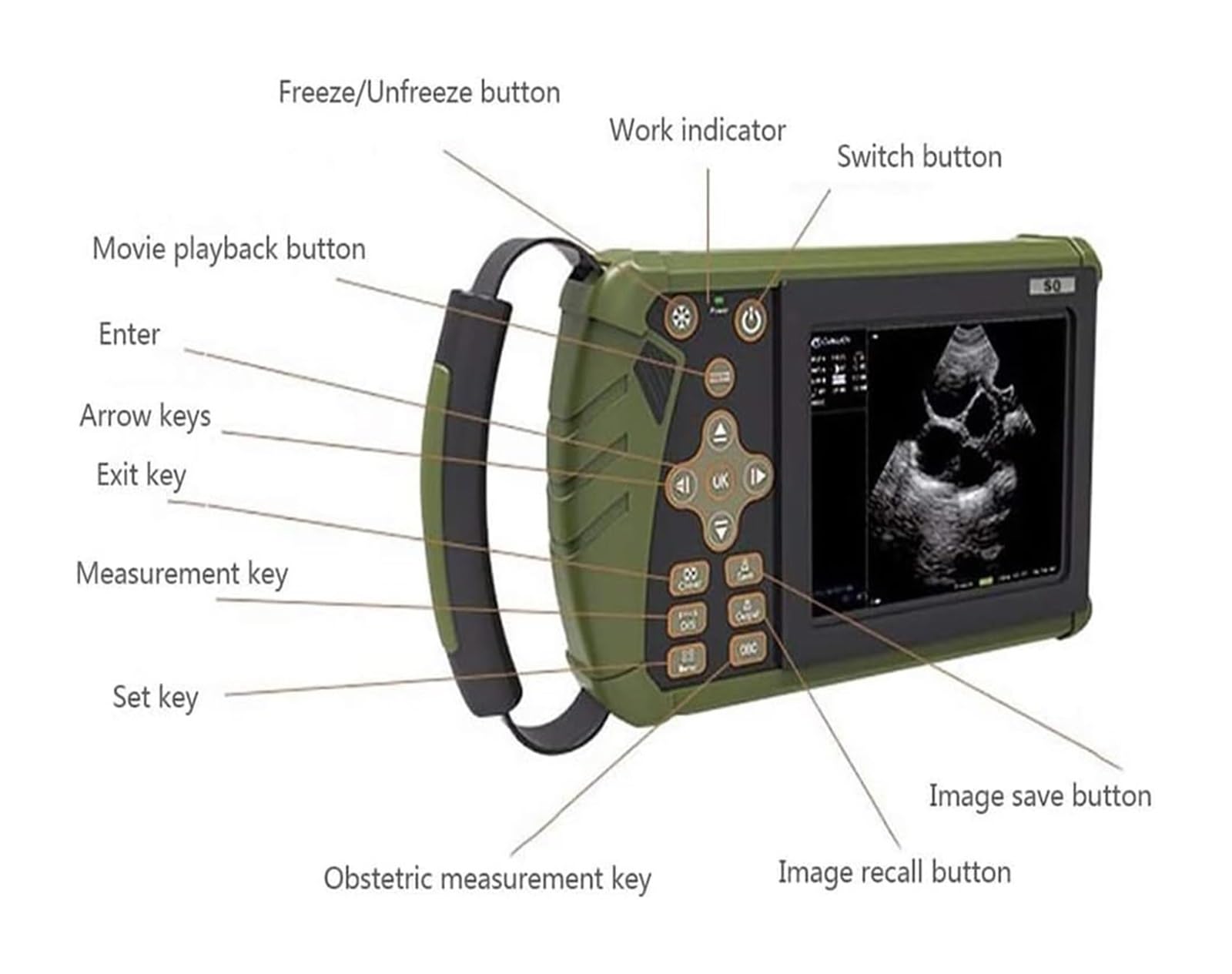 Scanner a Ultrasuoni B Portatile Per Veterinaria/animale Con Sonde Di Traino Convesse, Attrezzatura Diagnostica Veterinaria Portatile Ad Ultrasuoni, Usata Per Animali, Animali Domestici, Allevamento
