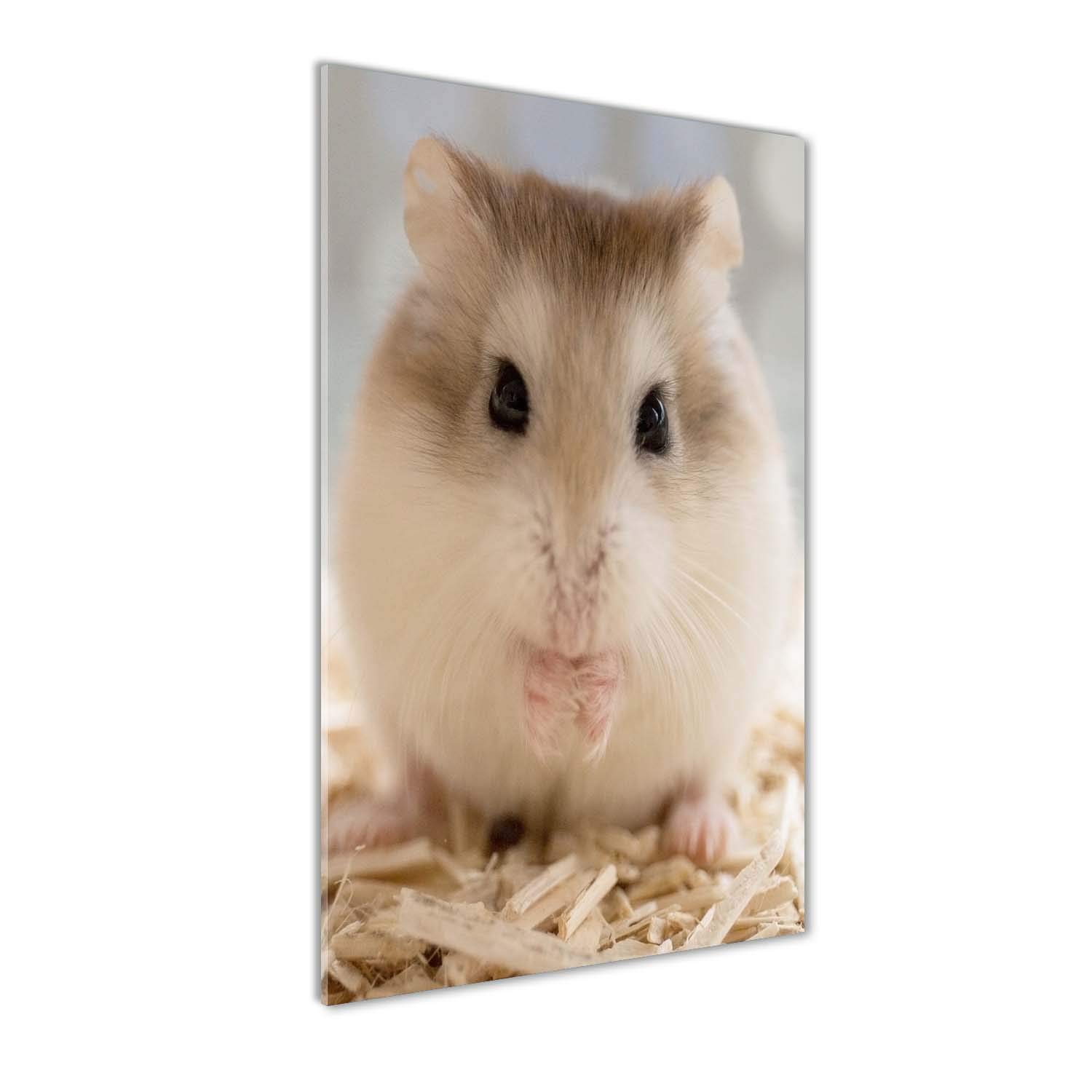 Impression sur verre 60x120 cm de hamster beige pour decoration panoramique cuisine