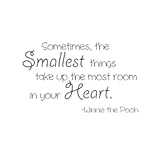 Imprinted Designs Sometimes The Smallest Things Take up The Most Room in Our Heart Vinyl Wall Decal