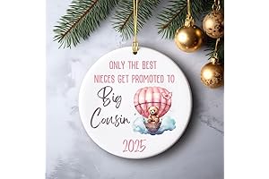 Adorable Santa Teddy Bear for Your Little Nieces and Nephews