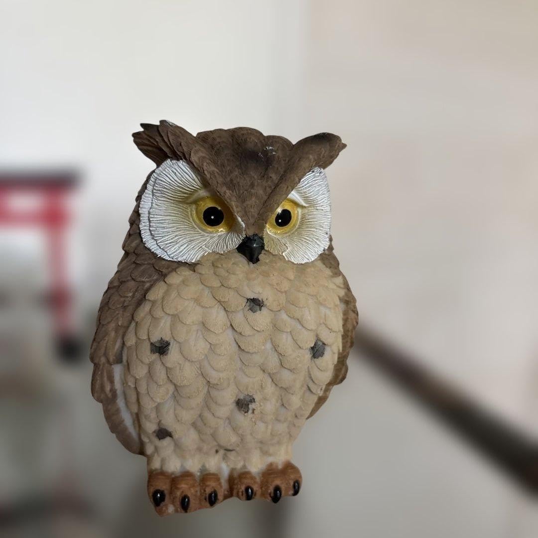 Amazon.co.jp: 掛川花鳥園 ミミズク 貯金箱 : ホビー