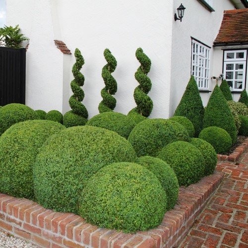 Tabor Tools B620A Hedge Shears With Wavy Blade For Trimming Borders, Boxwood, And Bushes, Manual Hedge Clippers With Comfort Grip Handles. #TOP4