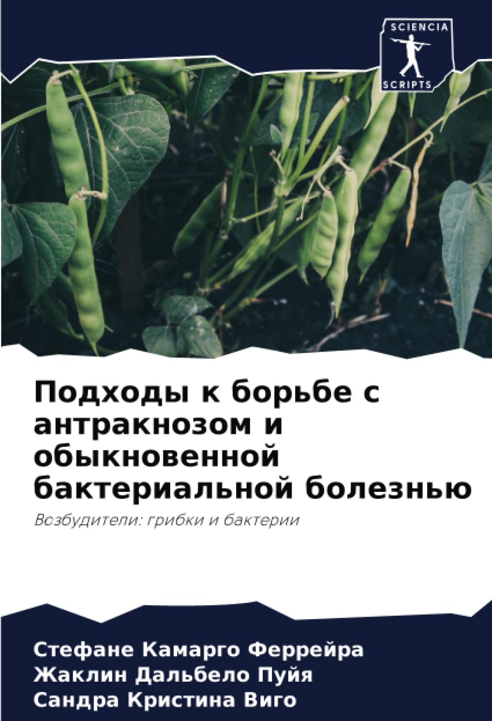 Подходы к борьбе с антракнозом и обыкновенной бактериальной болезнью: Возбудители: грибки и бактерии: Vozbuditeli: gribki i bakterii