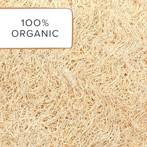Image of Omidazzle Natural Sun Dried Bath Loofah, Body Sponge & Scrubber for Men & Women | Organic Luffa for Bath Shower Skin Exfoliation (Pack of 2)