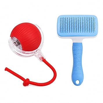 Red Interactive Ball & Slicker Brush for Dogs & Cats | Plastic & Silicone Pet Grooming Toy