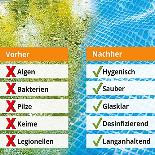 Poolreiniger Zooprinz 3-in-1 Flüssigkeit für die Poolreinigung