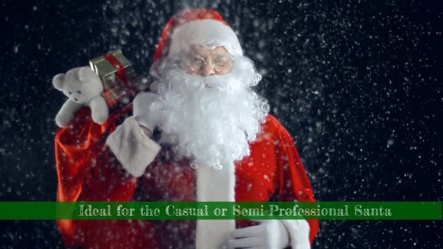 Amazon.com: Costume Adventure Deluxe Santa Beard and Wig Set Santa