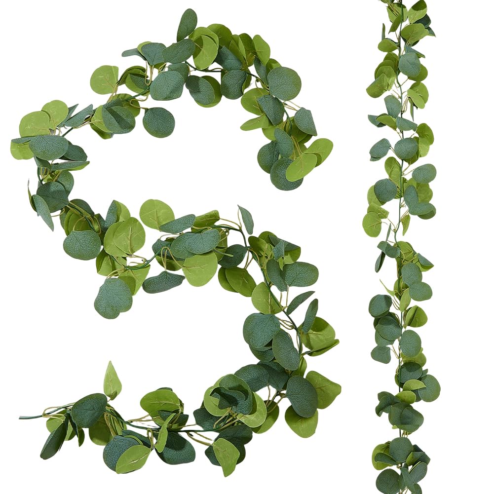Guirlande d'eucalyptus de qualité supérieure pour fond de table