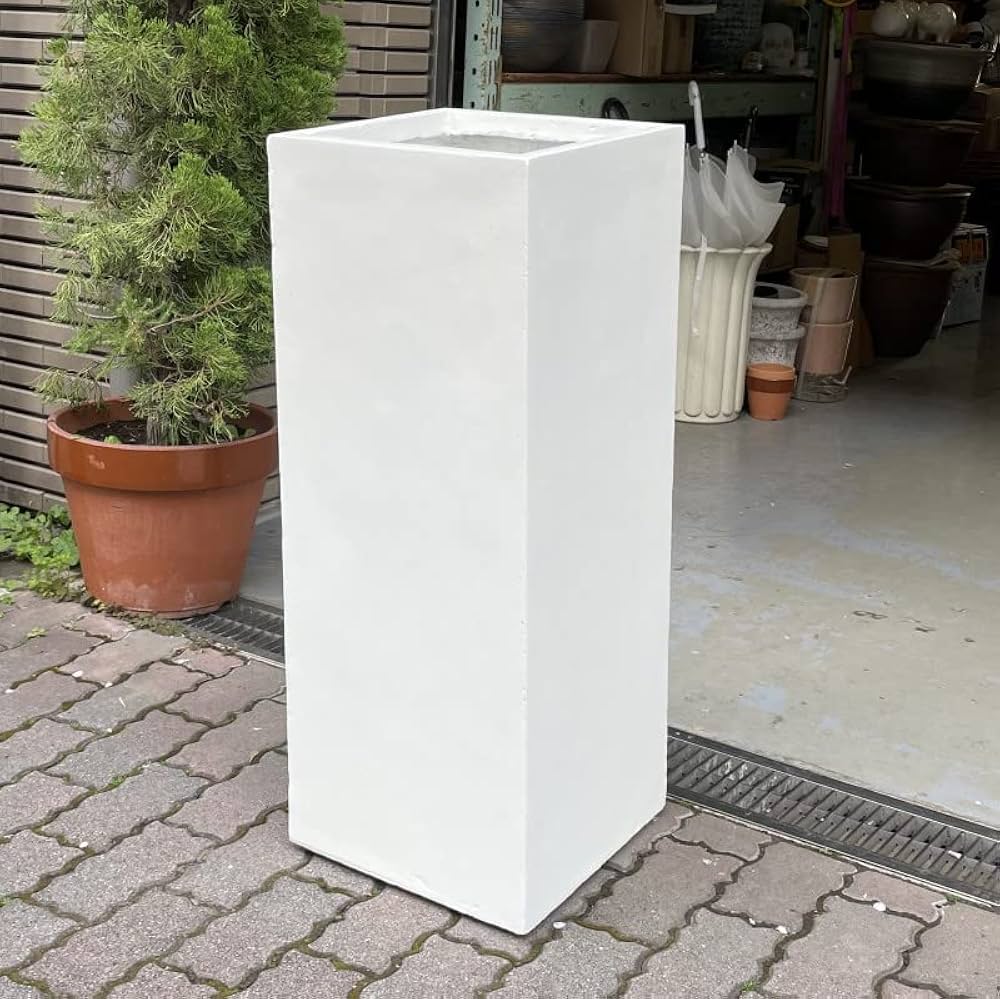 白鯨/アイアンプランターセット販売 ボールタイプ　親株出品　高級プランター 白鯨/アイアンプランターセット販売 ボールタイプ 親株出品 高級