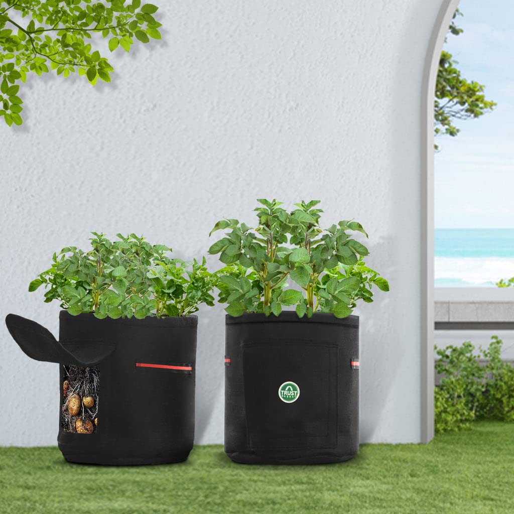 TrustBasket Potato Textile Felt Fabric Grow Bags for Vegetable Balcony & Terrace Gardening Breathable, Washable & Reusable Portable Plant Container for Home Gardening (Pack of 4) (B09TQWXPKH) Amazon Price History, Amazon Price Tracker