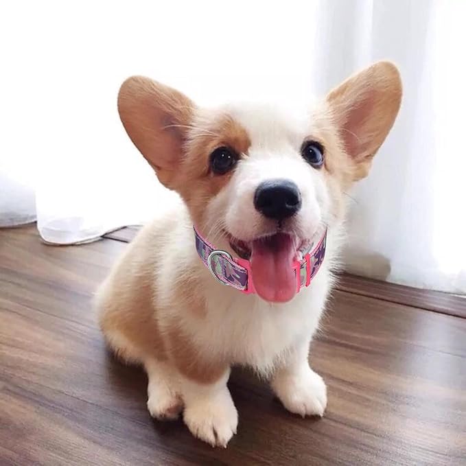 Collar Perro Ajustable Nylon Rosa Ligero M CBBPET miniatura 4