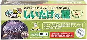 森のきのこ倶楽部 しいたけ種駒 森290号 にく丸 800個入り ３セットまとめ 森のきのこ倶楽部 しいたけ種駒 森290号 にく丸 800個入り