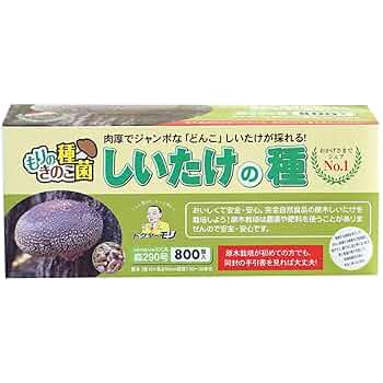 森のきの子様×4 Amazon.co.jp: 森のきのこ倶楽部 しいたけ種駒 森290号 にく丸