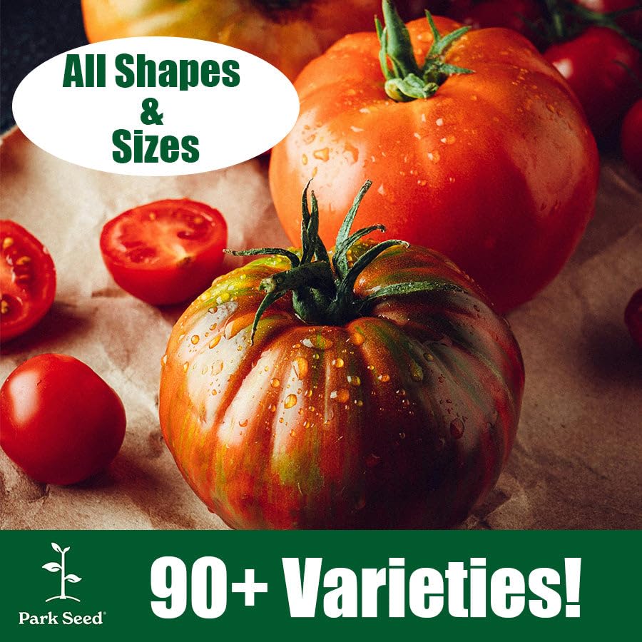 Amazon.com : Park Seed Cherry Tomato Seeds, Planting Vegetables
