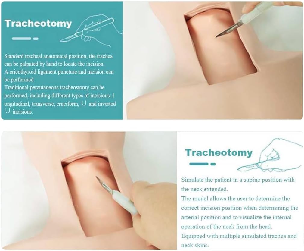 PVC Tracheostomy Simulator Model, Advanced Tracheotomy Incision Intubation Training Model, Cricothyrotomy, Tracheotomy Care Training Manikin with 4X Simulated Trachea and 4X Neck Skin for Ho