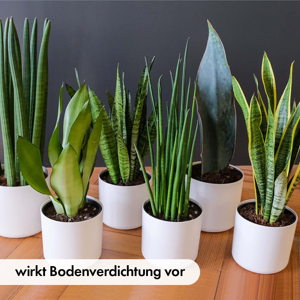 Perlite 100 Liter für Pflanzen - zur Boden- Substratverbesserung und Bodenbelüftung, Perlite dient zur Wasserspeicherung, Bewurzelung oder Anzucht
