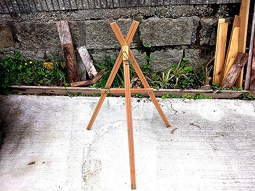 ߂ |H5{p Or 6r̂݁i110cm`70p41.5cm̖؍ށjʐ^Ql