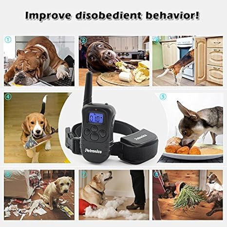 Petronics dog training collar Clearance