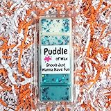 Puddle of Wax