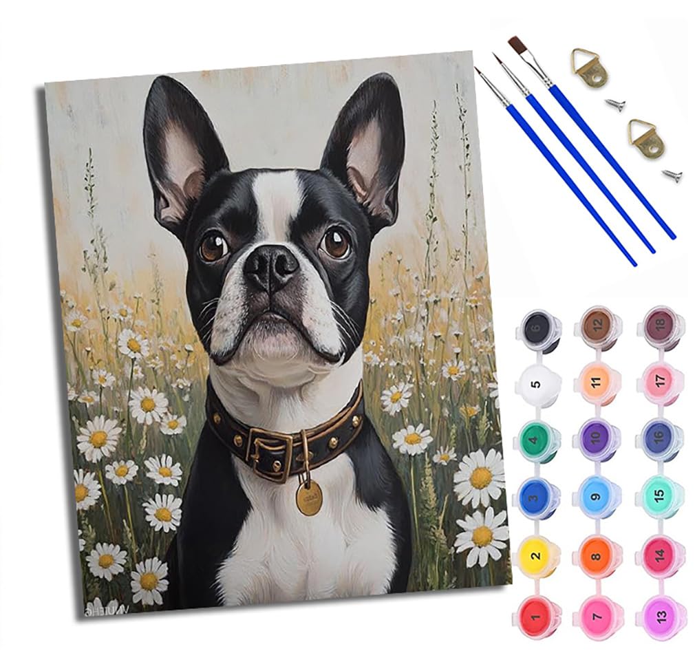 WXRWANG Paint by Numbers for Adults and Beginner Daisy Boston Terrier Painting by Number Kits On Canvas Without Frame DIY Color Oil Painting Acrylic Paints Home Wall Decor 40x50cm/16x20in