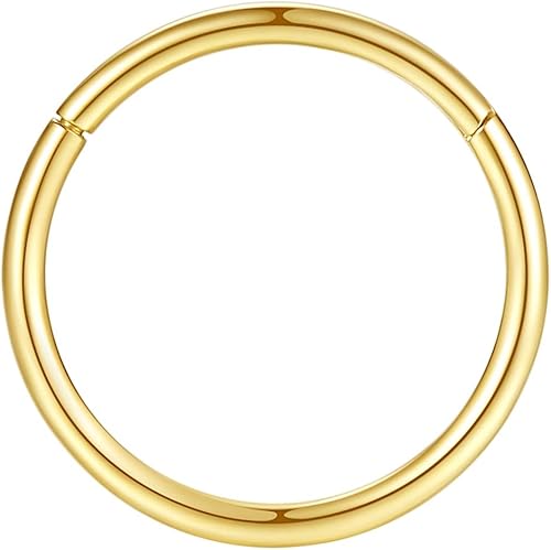 Miniatura 5 de Aros nasales hipoalergénicos de acero quirúrgico 316L de 20 g, 18 g, 16 g, 14 g, 12 g, 10 g y 8 g, joyería para tabique con segmento de bisagra