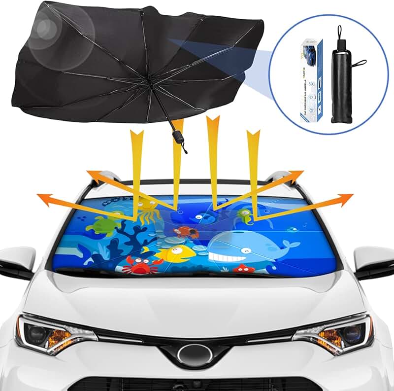 car umbrella
