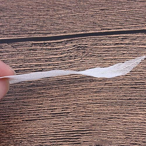6 hojas naturales esqueletizadas para manualidades DIY miniatura 5