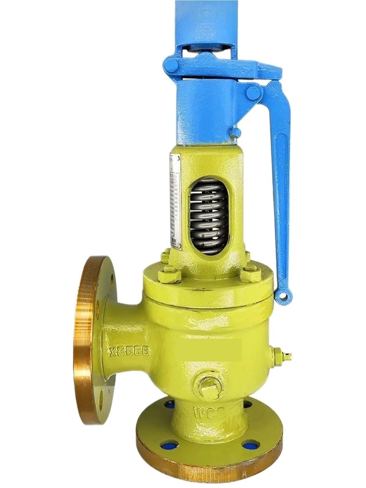 Trgyjgkf One Color Spring Fully Open Safety Valve A48yh-16C/25C Boiler Steam Pipeline Gas-Liquid Flange Relief