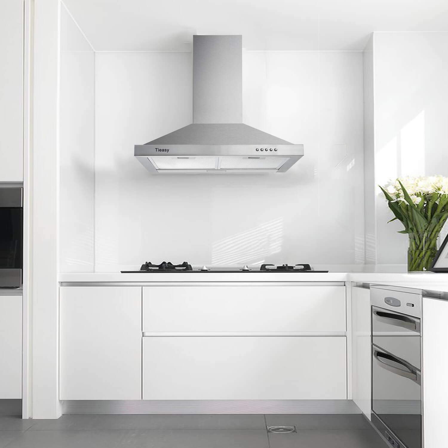 Wall Mount Range Hood 30 inch with Ducted/Ductless Convertible Duct