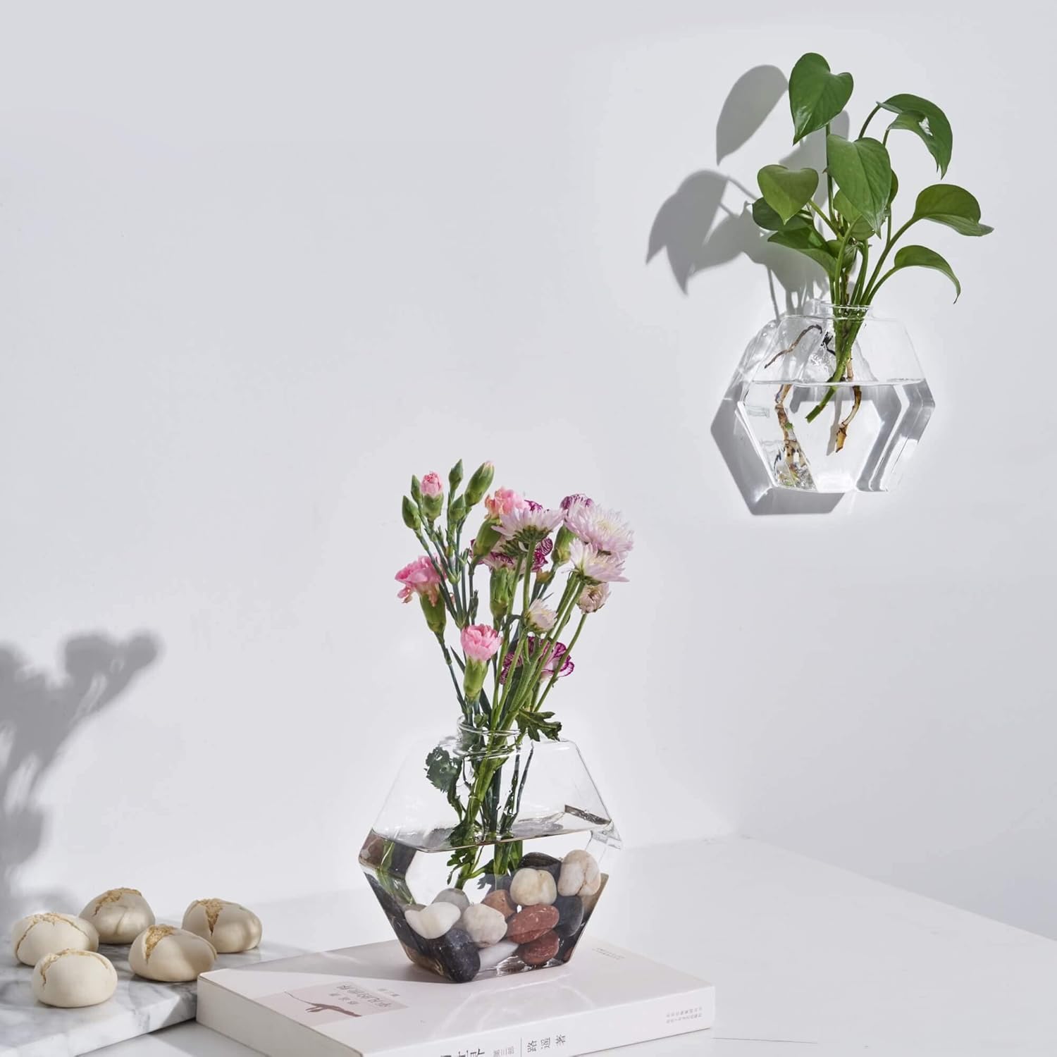 Glass Wall Planters 6PcsTerrarium Hanging Air Plant Holders Containers for Hydroponics Plants, Succulents, Herbs, Flowers (Hexagon)