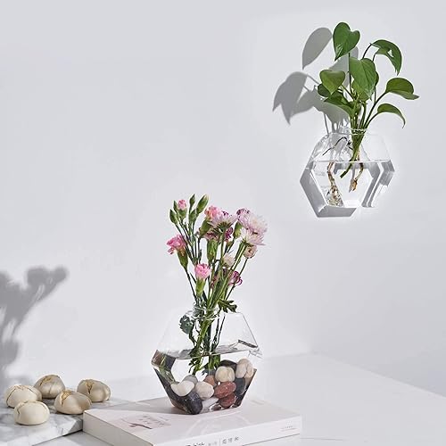 Miniatura 2 de Macetas de pared de vidrio, 6 unidades, terrario, soportes colgantes para plantas hidropónicas, suculentas, hierbas, flores (hexagonal)