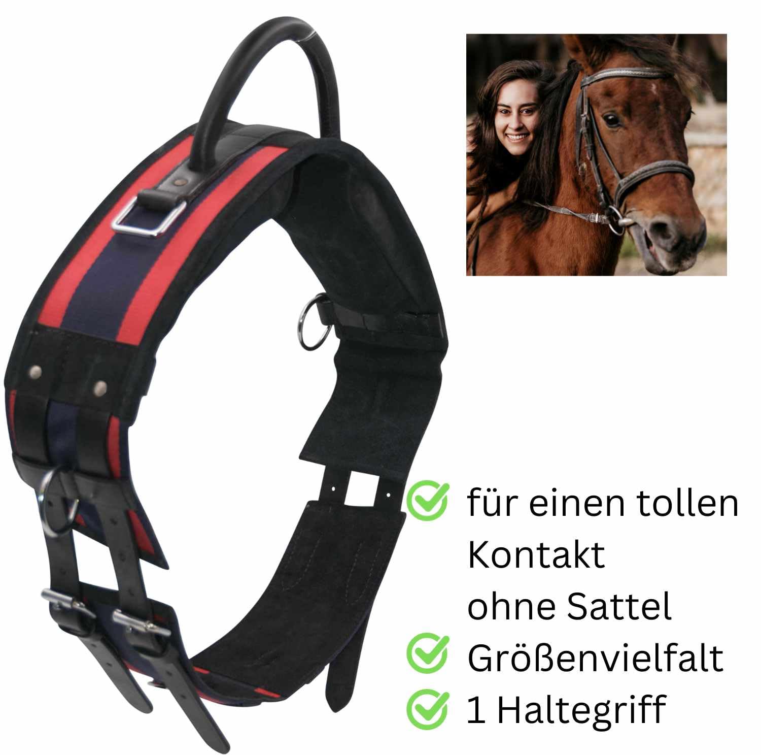 AMKA Longiergurt Reitgurt mit Handgriff aus Leder mit 6 Ringen 2 Ringe für Steigbügelriemen