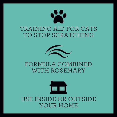 Miniatura 2 de TriNova Spray disuasorio antiarañazos para gatitos y gatos, impregnado con romero, evita que los gatos arañen muebles, sillones y más, uso en