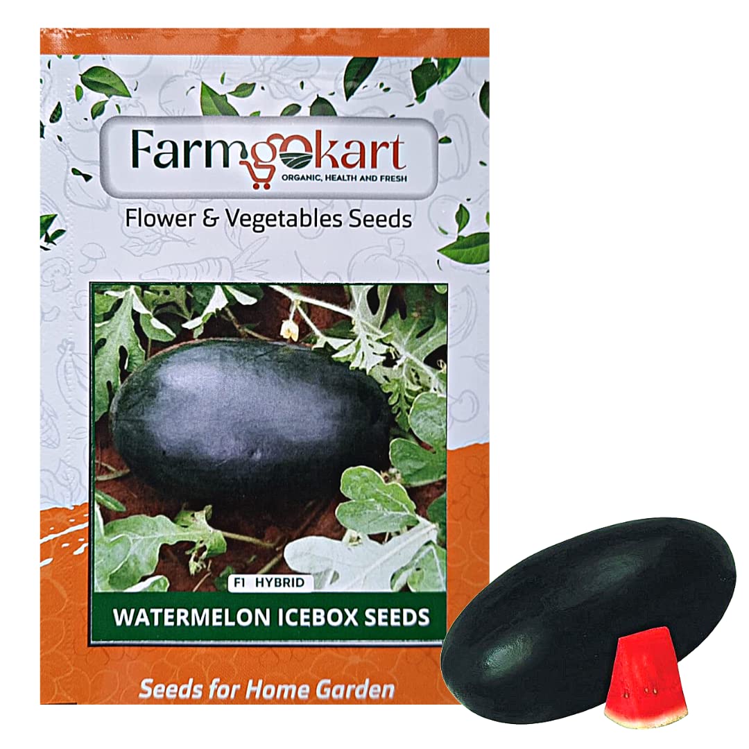 Farmgokart |WATER MELON (ICE BOX - OVAL SHAPED) F1 - HYBRID SEEDS|20 Nos Seed Per Packet | Best Suitable For Home Gardening | (B09QPYHJQC) Amazon Price History, Amazon Price Tracker